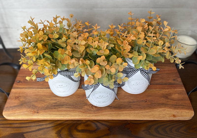 Eucalyptus Small White 3 Set Mason Jars