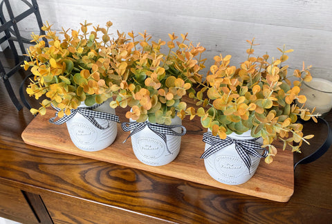 Eucalyptus Small White 3 Set Mason Jars